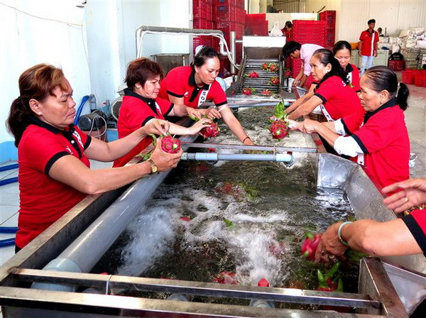 Đổi mới xúc tiến thương mại: Tận dụng hiệu quả thị trường truyền thống ảnh 2