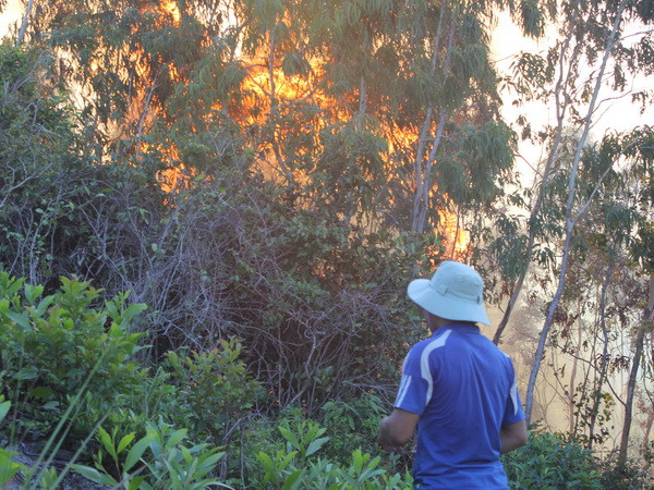 Vụ cháy rừng trên núi Bà Hỏa gây thiệt hại khoảng 20ha rừng ảnh 1