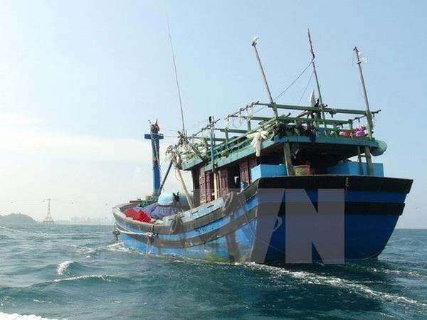 Ngư dân Lý Sơn cứu vớt 32 ngư dân nước ngoài bị nạn trên biển ảnh 1