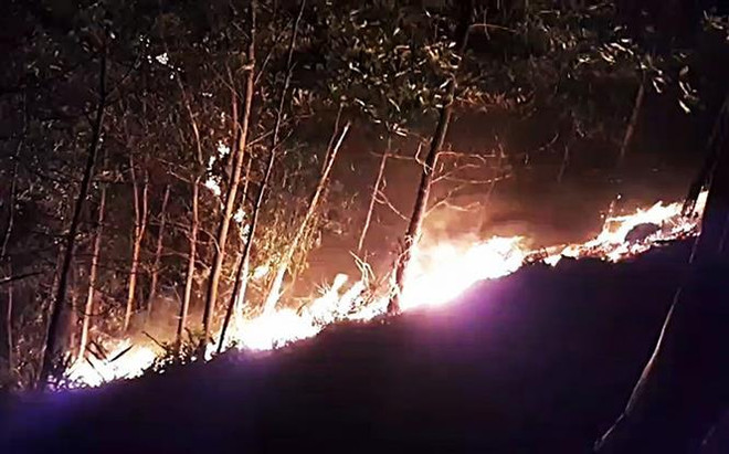 Quảng Trị: Hơn 300 chiến sỹ và người dân chữa cháy rừng trong đêm ảnh 1