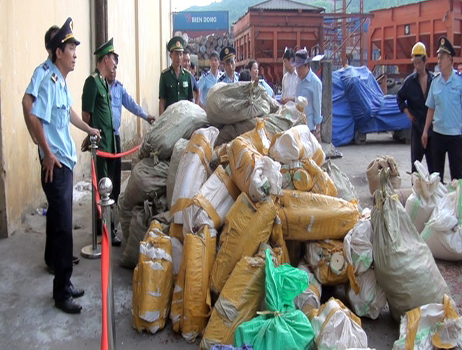 Phát hiện lô hàng nhập khẩu chứa hơn 2 tấn nghi là ngà voi ảnh 1