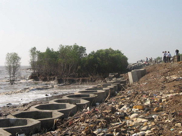 Tiền Giang đầu tư 86 tỷ đồng khắc phục các điểm sạt lở nặng ảnh 1