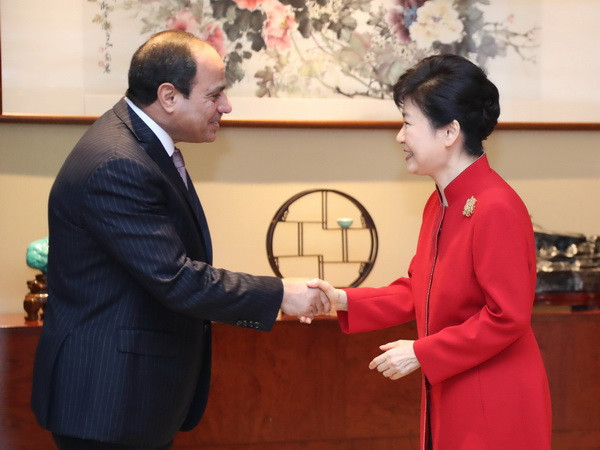 Tổng thống Hàn Quốc Park kêu gọi tăng cường hợp tác với Ai Cập ảnh 1