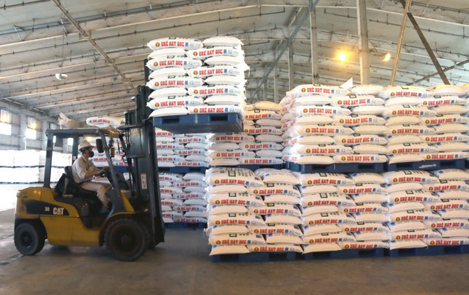 Đạm Cà Mau sẽ cung ứng hơn 250.000 tấn đạm cho vụ Đông Xuân ảnh 1