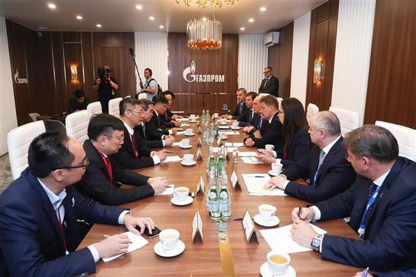 Phiên họp toàn thể Diễn đàn Kinh tế quốc tế St Petersburg lần thứ 23 ảnh 2