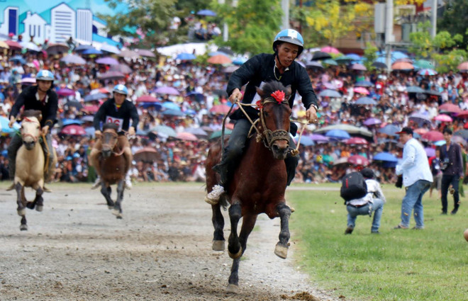 Giải đua ngựa truyền thống Bắc Hà 2019 thu hút hàng vạn du khách ảnh 1