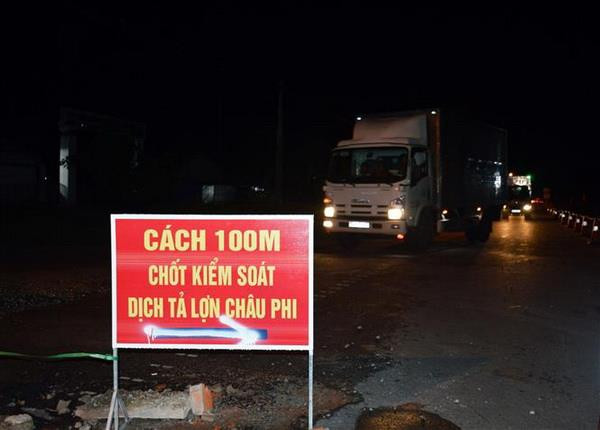 Cà Mau đã xuất hiện ổ dịch tả lợn châu Phi thứ 3 ảnh 1