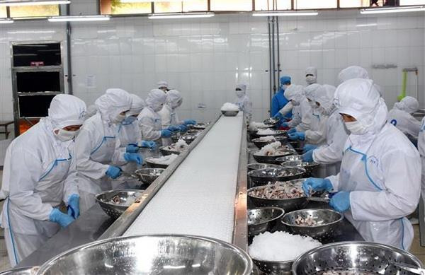 5 tháng đầu năm, xuất khẩu thủy sản giảm nhưng nhập khẩu tăng ảnh 2