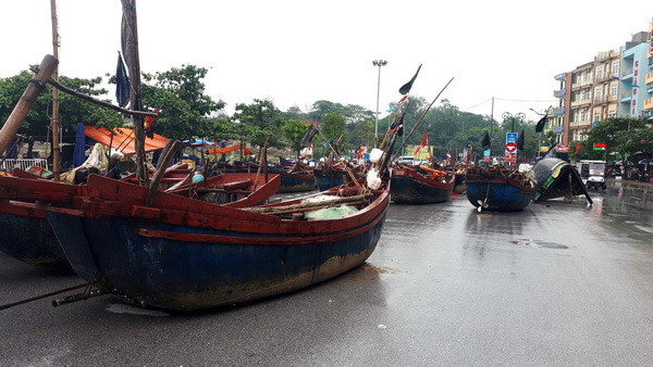 Kiểm tra công tác phòng chống bão số 3 tại Thanh Hóa ảnh 1