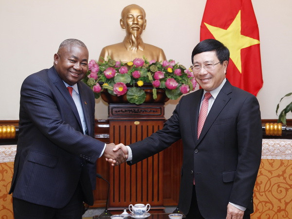 Phó Thủ tướng Phạm Bình Minh tiếp Đại sứ Cộng hòa Mozambique ảnh 1