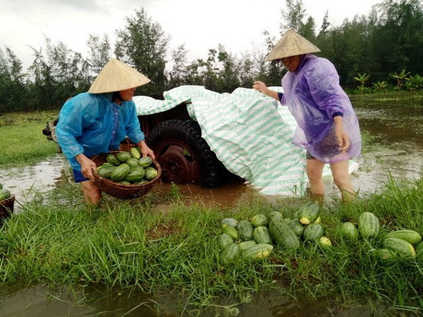 Kiểm tra công tác phòng chống bão số 3 tại Thanh Hóa ảnh 2