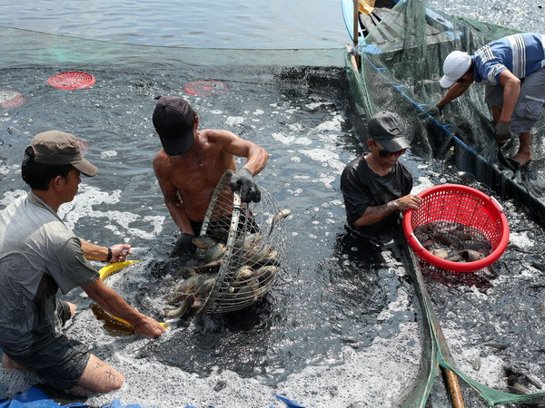 Cần Thơ-Nagasaki hợp tác lĩnh vực thủy sản và xử lý nguồn nước ảnh 1