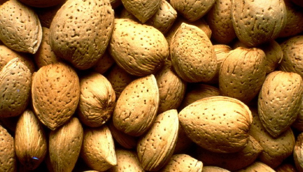 Australia tăng cường xuất khẩu hạt hạnh nhân sang Đông Nam Á ảnh 1