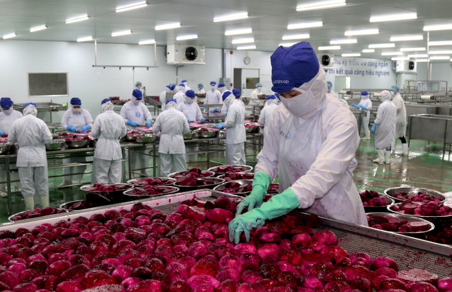 Tiếp tục cơ cấu chuỗi giá trị, đổi mới tăng trưởng trong nông nghiệp ảnh 1