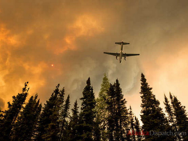 Cháy rừng tại khu bảo tồn hoang dã quốc gia của Mỹ ảnh 1