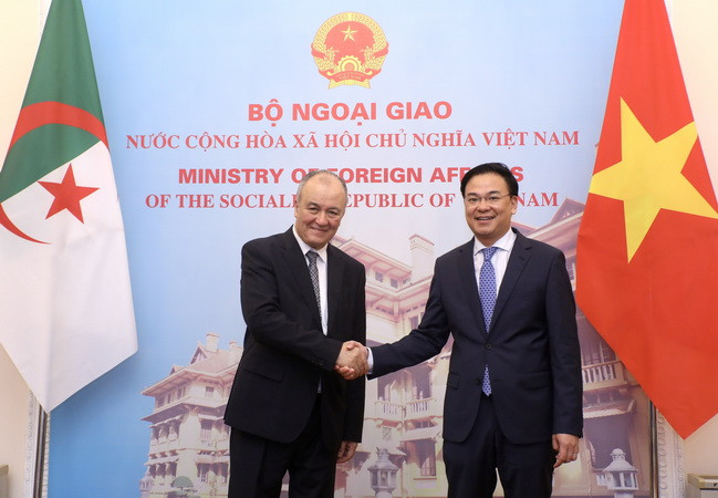 Tham vấn chính trị cấp Thứ trưởng Ngoại giao Việt Nam-Algeria ảnh 1