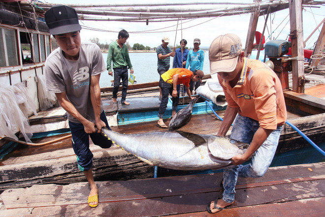 Cụ thể hóa các chính sách hỗ trợ nông dân nâng cao thu nhập ảnh 1