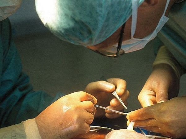 Châu Âu khởi động hiệp định chống buôn lậu nội tạng người ảnh 1