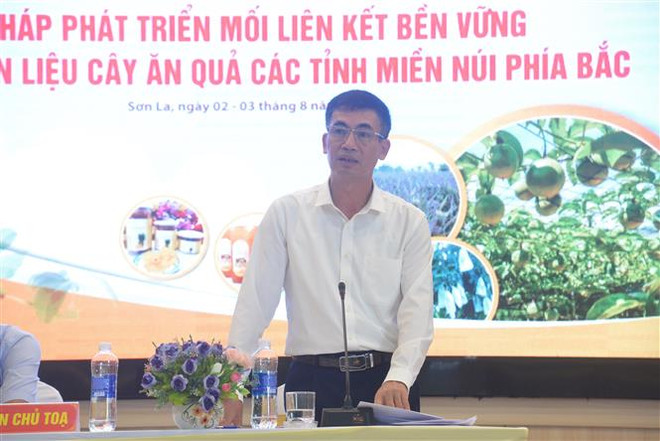 Phó Giám đốc Trung tâm Khuyến nông Quốc gia Hoàng Văn Hồng phát biểu tại Diễn đàn. (Ảnh: Quang Quyết/TTXVN) Phát triển bền vững vùng cây ăn quả tại các tỉnh miền núi phía Bắc ảnh 2