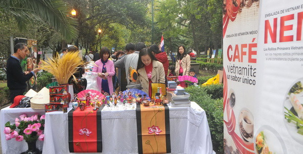 Các nước ASEAN tăng cường quảng bá văn hóa tại Mexico ảnh 9