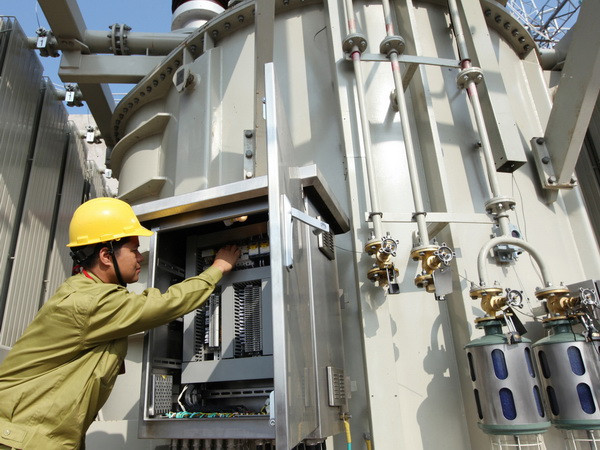 Cháy rừng khiến đường dây 500kV Bắc-Nam mạch 1 gặp sự cố ảnh 1