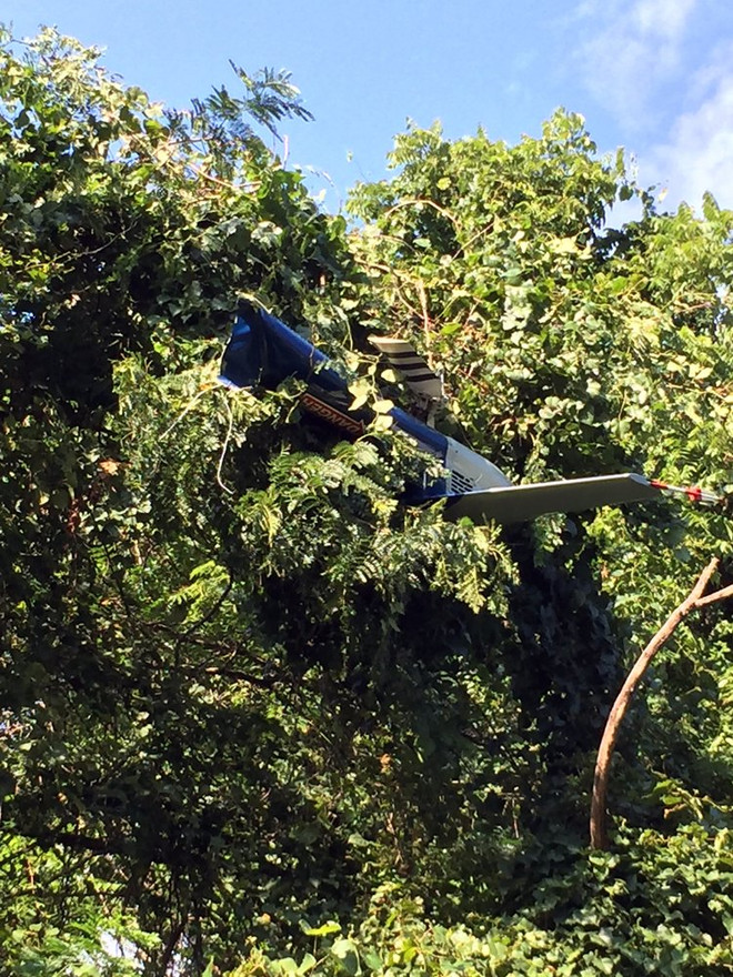 Mỹ: Rơi trực thăng gần thành phố Charlottesville, 2 người thiệt mạng ảnh 1