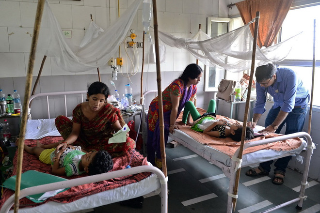 Số người thiệt mạng tại Brazil do sốt xuất huyết lên mức kỷ lục ảnh 1