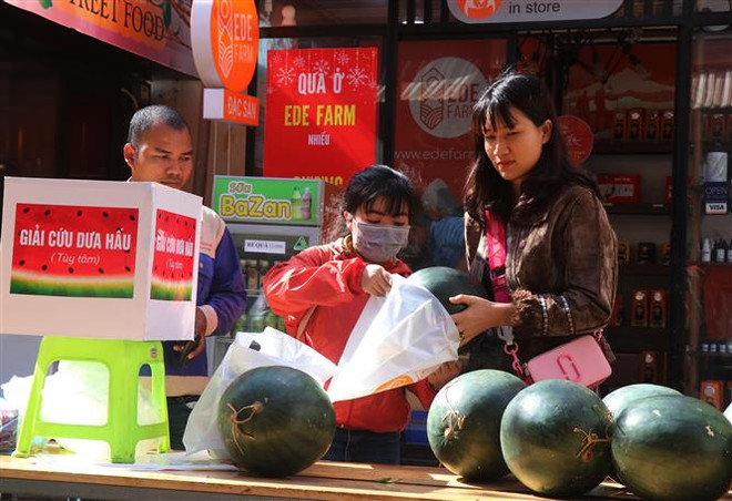 Người dân mua dưa hấu giải cứu giúp nông dân. (Ảnh: Tuấn Anh/TTXVN) Thành phố Hồ Chí Minh cân đối cung cầu các mặt hàng thiết yếu ảnh 1