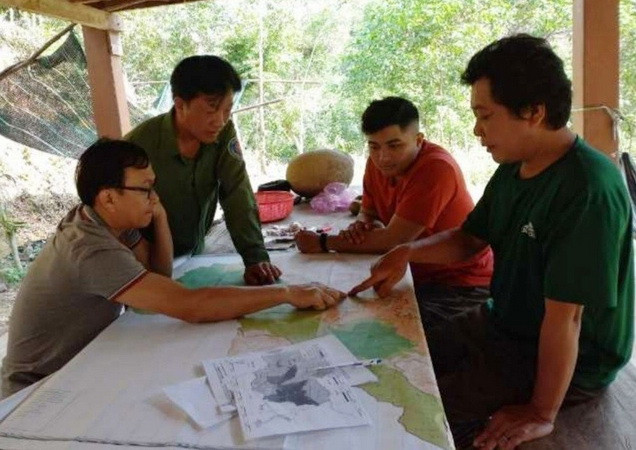 Cần bảo vệ đàn voọc chà vá chân xám quý hiếm tại Phú Yên ảnh 2