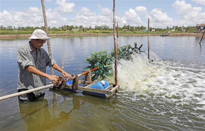 Nam Bộ khô nóng kéo dài, bất lợi cho người nuôi trồng thủy sản ảnh 1