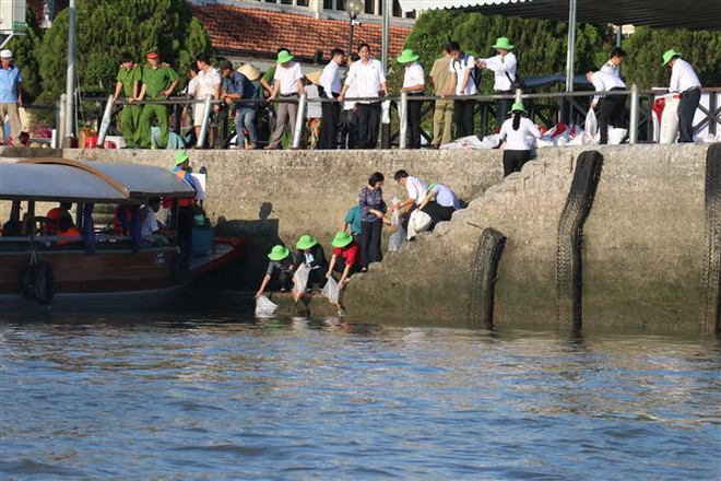 Thả gần 5,3 triệu con giống tái tạo nguồn lợi thủy sản Vịnh Bắc Bộ ảnh 1