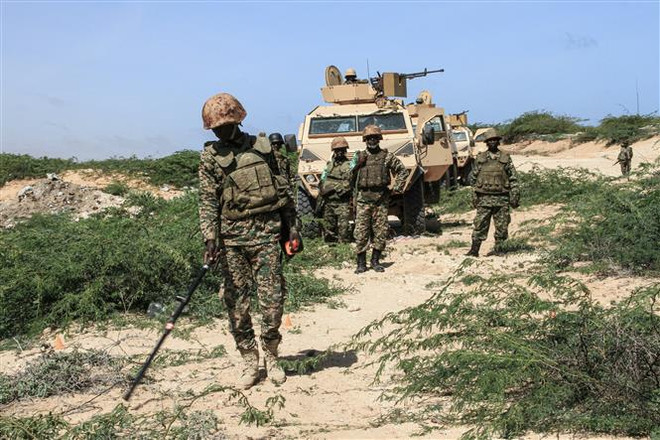 Việt Nam mong muốn Chính phủ Somalia phối hợp chặt chẽ với AMISOM ảnh 1