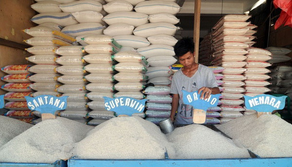 Indonesia đặt mục tiêu xuất khẩu gạo sang 10 quốc gia ảnh 1