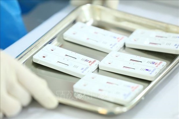 (Ảnh minh họa: Minh Quyết/TTXVN) Hà Nội: Xem xét kỷ luật một số cán bộ, đảng viên và tổ chức Đảng ảnh 2