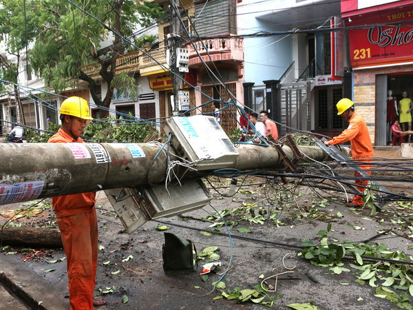 Tổng công ty Điện lực miền Bắc chủ động phòng chống bão số 3 ảnh 1