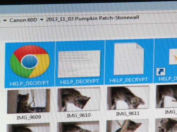 Hàng chục công ty Canada trả tiền chuộc dữ liệu bị đánh cắp ảnh 1