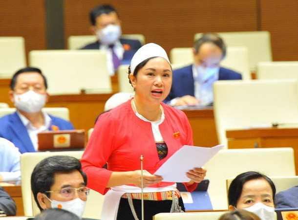 Đẩy mạnh phân cấp, phân quyền nhằm hạn chế trở ngại cho địa phương ảnh 2