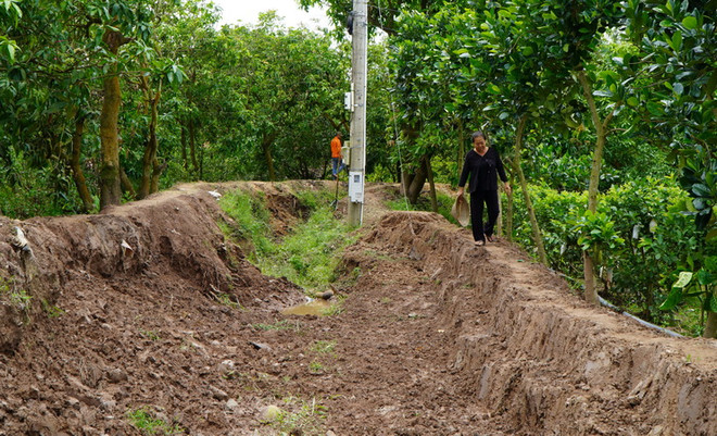 Đồng Tháp: Đường thi công dở dang, nhà thầu “biến mất,” dân chịu khổ ảnh 2