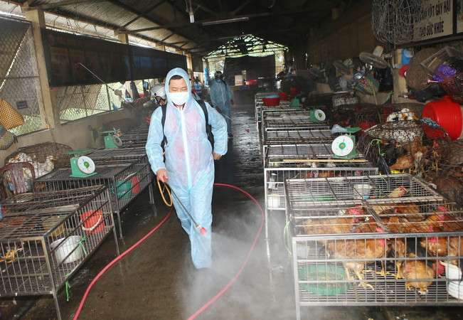 Triển khai tháng vệ sinh và tiêu độc khử trùng môi trường đợt 1 ảnh 1