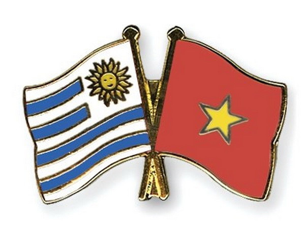 Kỷ niệm 25 năm thiết lập quan hệ ngoại giao Việt Nam-Uruguay ảnh 1
