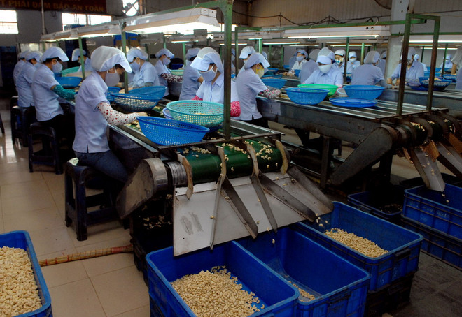 [Photo] Xuất khẩu điều 5 tháng đầu năm đạt 618 triệu USD ảnh 4