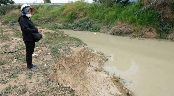 Lâm Đồng: Nông dân kêu cứu vì nguồn nước bị ô nhiễm nghiêm trọng ảnh 1