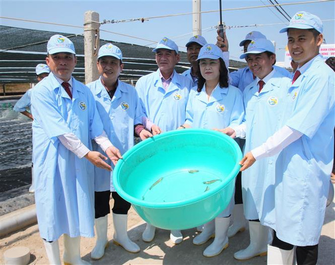 Xây dựng Bạc Liêu trở thành trung tâm công nghiệp tôm cả nước ảnh 3