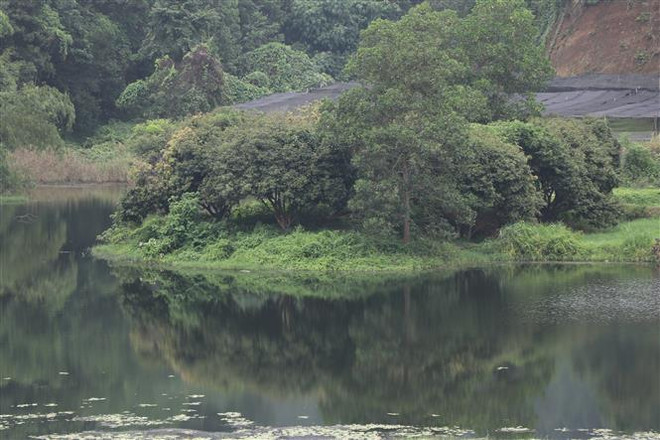 Yên Bái: Nhà máy gây ô nhiễm kéo dài, người dân liên tục kêu cứu ảnh 1