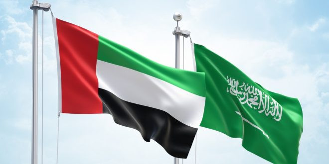 UAE ủng hộ nỗ lực của Saudi Arabia giải quyết khủng hoảng Vùng Vịnh ảnh 1