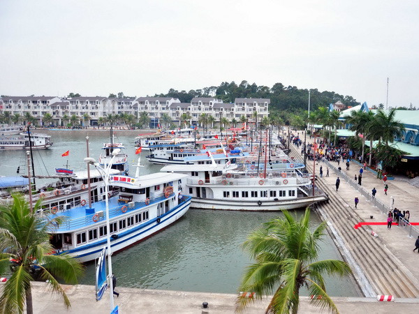 Cấm ăn uống trong hang động không ảnh hưởng kinh doanh ở vịnh Hạ Long ảnh 1