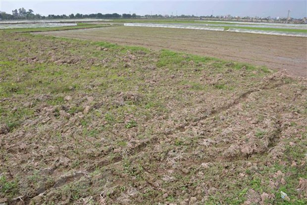 Báo cáo Thủ tướng về việc lập các sàn giao dịch việc làm, bất động sản ảnh 1