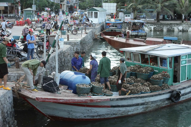 ttxvn_0103_van don2.jpg