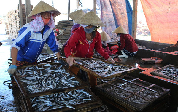 Phát hiện 30 tấn cá nục có chất cực độc, tuyệt đối cấm trong thực phẩm ảnh 1