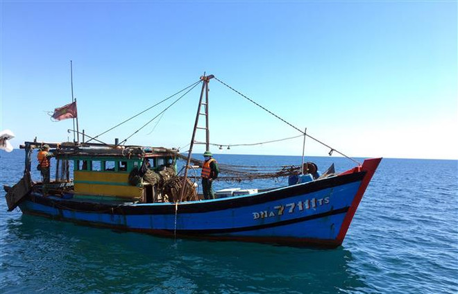 Bắt giữ một tàu khai thác giã cào trái phép gần bờ biển Lăng Cô ảnh 1